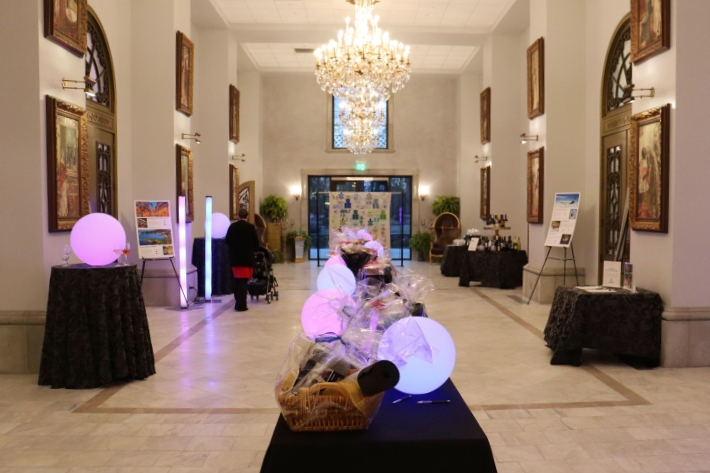 Discovery Center of Idaho's annual Science with Style Gala photo of silent auction items.