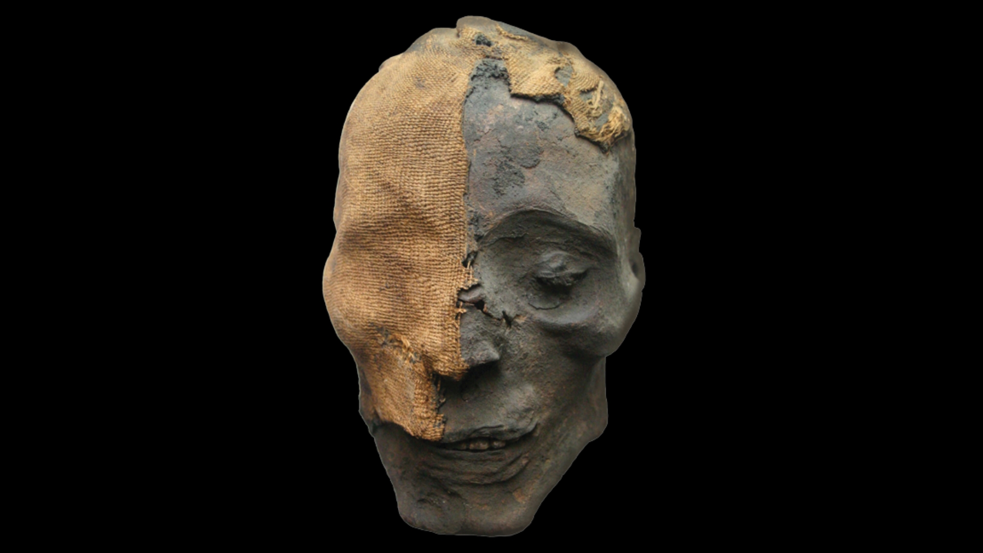 Image of mummy skull from Mummies of the World: Exhibition featured at the Discovery Center of Idaho.